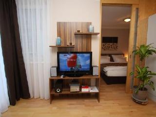 Vacha Vogtgasse Apartment Wien